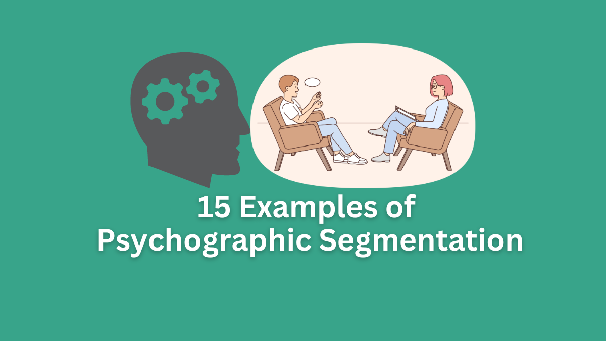 examples of psychographic segmentation