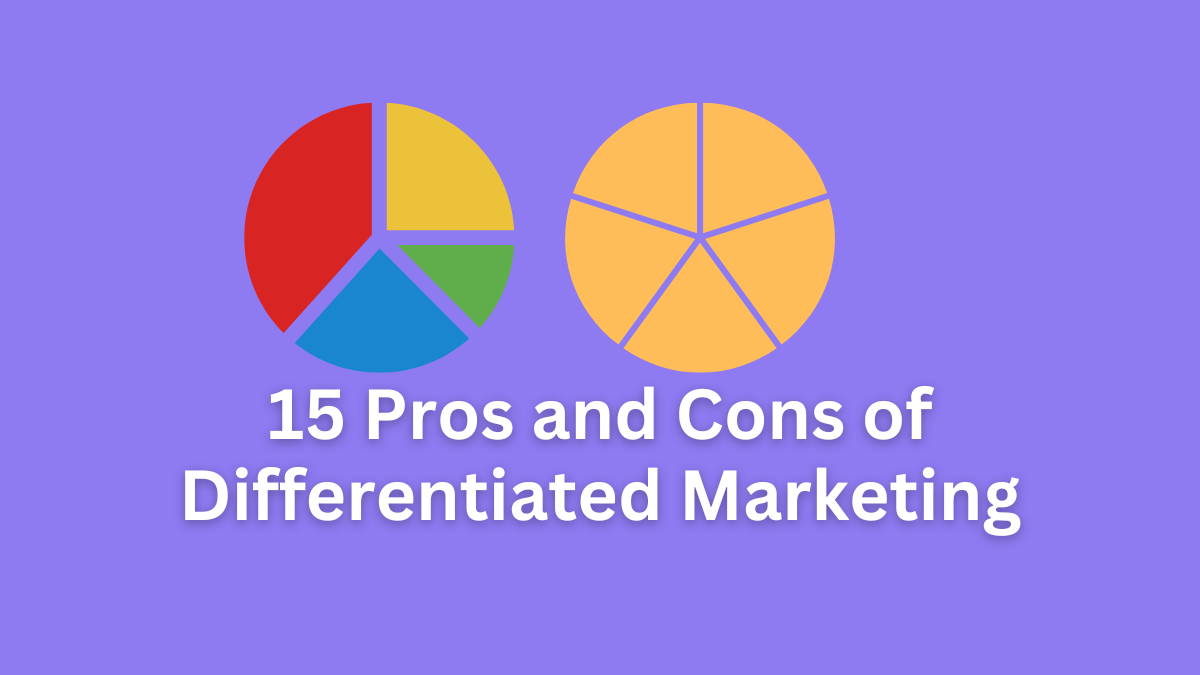 pros and cons of differentiated marketing