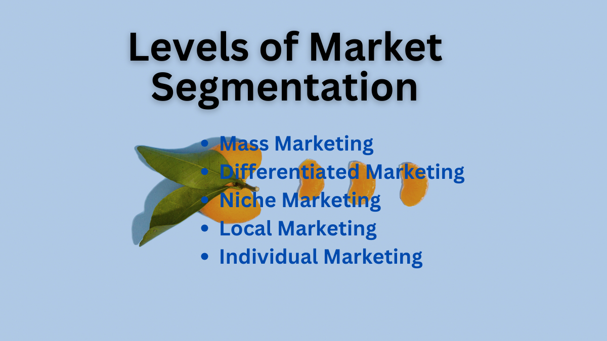 levels of market segmentation