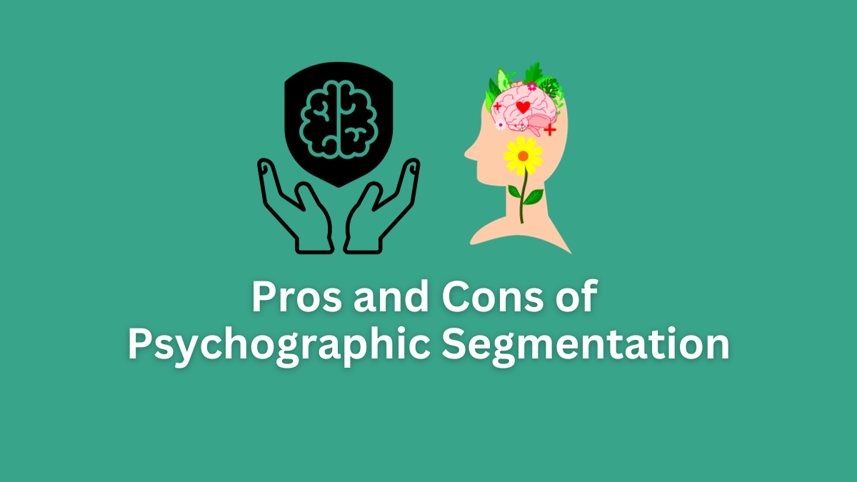 pros and cons of psychographic segmentation