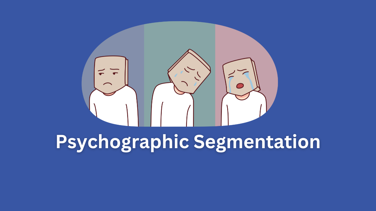 psychographic segmentation