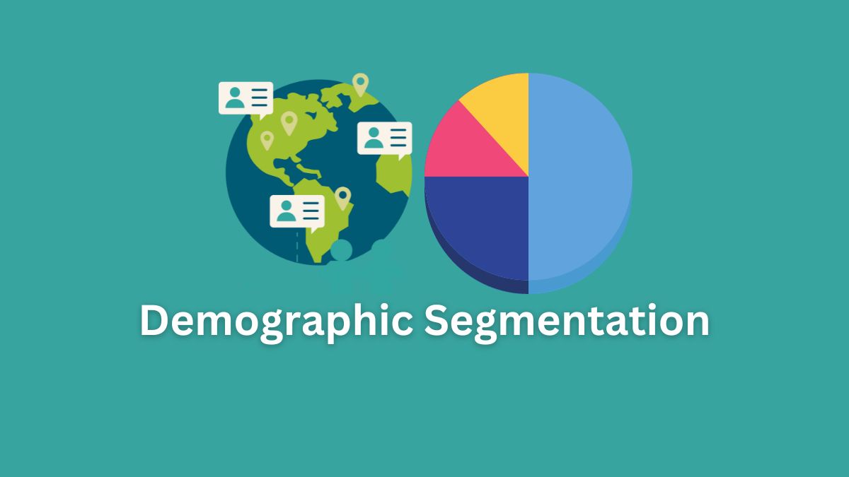 demographic segmentation