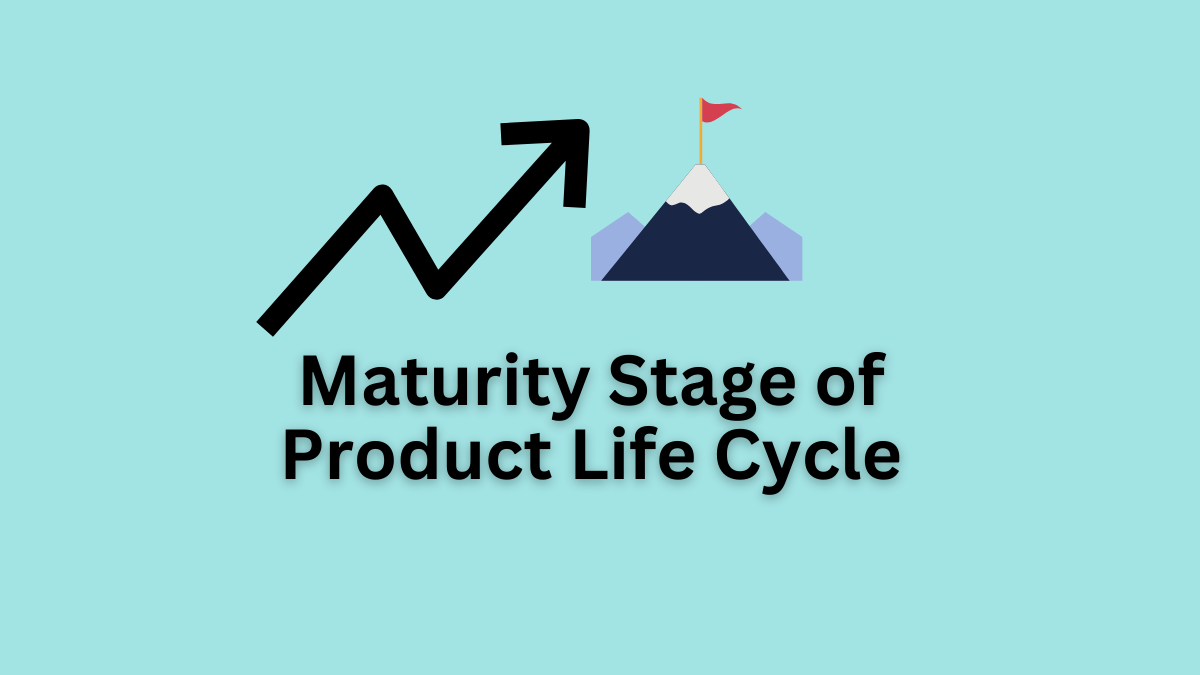 maturity stage product life cycle