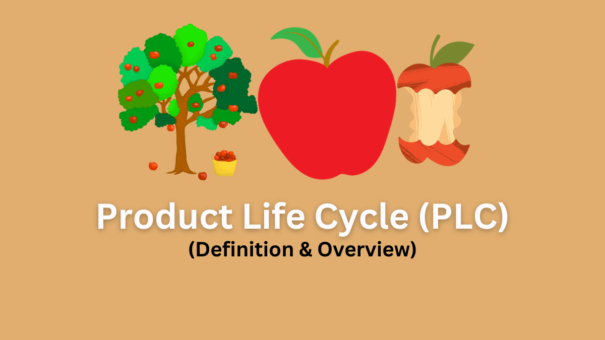 product life cycle